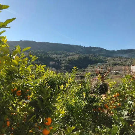 Les Penyetes Boutique 3* Campell