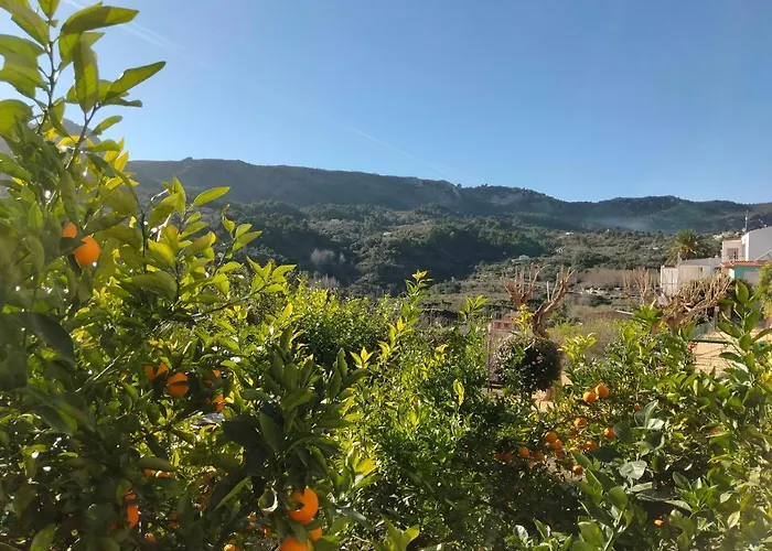 Les Penyetes Boutique 3* Campell